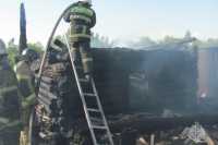 Крупный пожар уничтожил птичье хозяйство в Алтайском районе