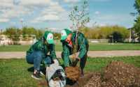 Зеленая волна: волонтеры РУСАЛа примут участие в озеленении Саяногорска