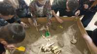 «Юные археологи»: ребят из социально-реабилитационного центра заинтересовали раскопками