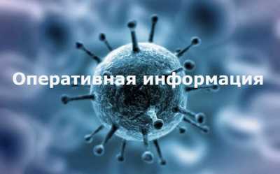 Стали известны оперативные данные по коронавирусу в Хакасии