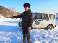 В Хакасии   «черных лесорубов» привлекают к уголовной  ответственности