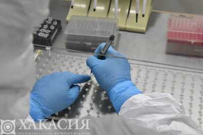 COVID-19 в Хакасии: за сутки выздоровели 22 человека, заболели - 41