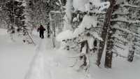 В Хакасии морозы до -40 осложняют поиски туристов