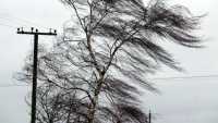 В Хакасии ожидается штормовой ветер