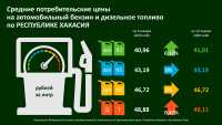 В Хакасии выросли цены на бензин и дизельное топливо