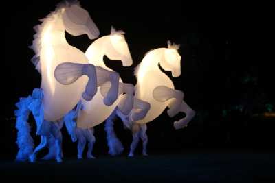 Жители и гости Абакана увидят светящихся лошадей