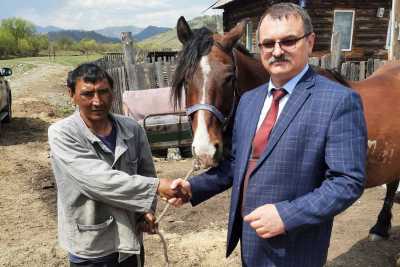 Минсельхоз Хакасии передал жителю республики рабочего коня