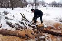 Жителям Хакасии позволят собирать валежник  на дрова