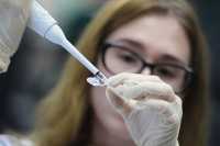 В России назвали сроки начала производства вакцины от коронавируса
