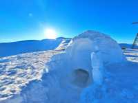 Жилище из снежных брусков построили на границе Тувы и Хакасии