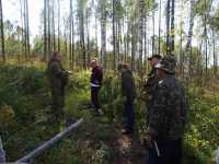 В Таштыпском районе выращивают новый лес