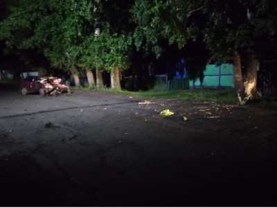 В Хакасии пьяный подросток за рулем ВАЗа врезался в дерево