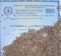 В Хакасии проверили качество свыше 3 тысяч тонн семян