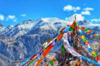 Учёный из Хакасии изучил наскальную живопись и упряжь в Тибете