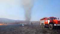 Человеческий фактор: степной пожар полыхал в Алтайском районе