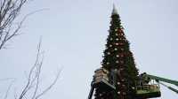 Появился рейтинг городов России с самыми высокими новогодними елками
