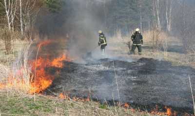 В Хакасии с пожарами борются с помощью контролируемых палов