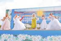 Участниц креативного парада невест ищут в посёлке Хакасии