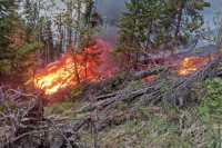 Десантников привлекли на тушение крупного лесного пожара под Саяногорском