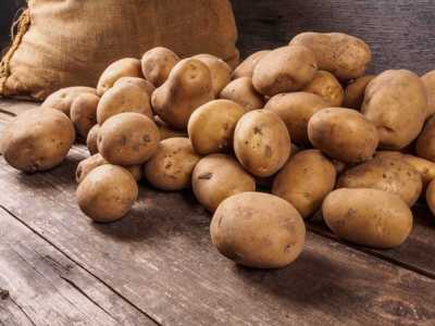 В Хакасии подешевел картофель, подорожала капуста