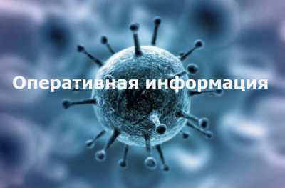 В Хакасии представлена оперативная информация по коронавирусу