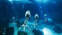 Зараженный океан: армия водяных вирусов угрожает планете