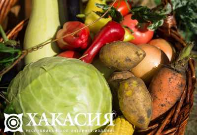 В Хакасии местные овощи постепенно вытесняют завозные