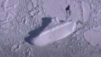 У берегов Антарктиды нашли таинственный «ледяной корабль»