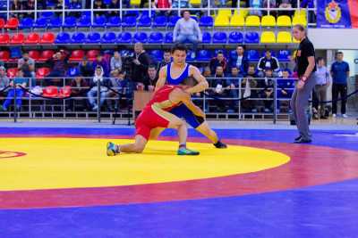 В Хакасии проходят Всероссийские соревнования по вольной борьбе памяти Сергея Карамчакова