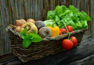 Международный год овощей и фруктов в Хакасии отметят выставками