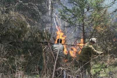В Хакасии тушат лесной пожар