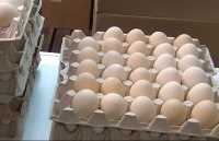 Ценами на яйца в Хакасии заинтересовались антимонопольщики