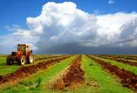 В Хакасии стало меньше земель сельхозназначения