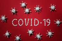 COVID-19 в Хакасии: 784 новых случая заражения