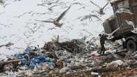 Российские ученые узнали, как перерабатывать мусор без вредных выбросов