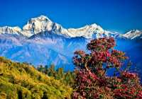 Особенности отдыха в Непале: почему путешествие запомнится надолго