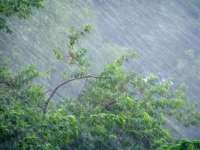 Ураганный ветер потревожит жителей Хакасии в выходные
