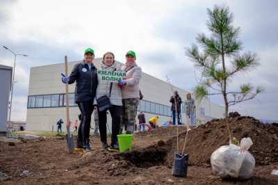РУСАЛ провёл традиционную экологическую акцию «Зелёная волна»
