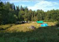 Туристам советуют не ставить палатки под деревьями в Хакасии