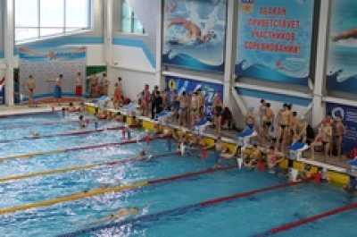 Одиннадцать абаканских пловцов вошли в десятку  сильнейших  на &quot;Кубке Сибири&quot;