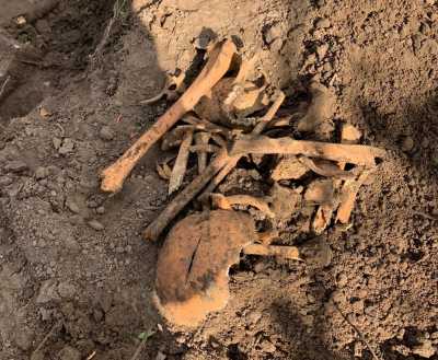 В Абакане нашли человеческие кости в разных местах в один день