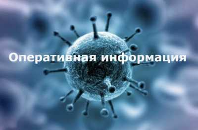 Появились данные по заболеваемости коронавирусом в Хакасии