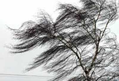 Сегодня в Хакасии ожидается усиление ветра