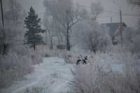 «Циклончик пошалит и будет морозец»: синоптик о погоде в Хакасии