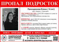 В Саяногорске потеряли 14-летнюю девочку