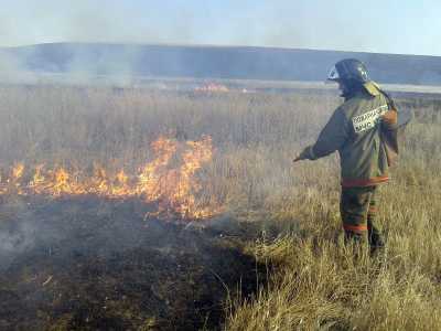 В Хакасии запрещены палы травы