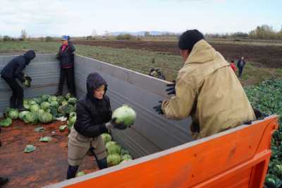 В Хакасии пострадавшие от града сельчане получили овощи