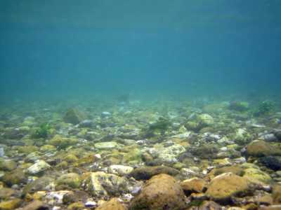 В пруду Хакасии найдено тело подводного охотника