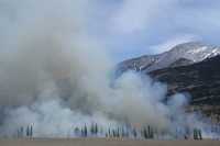 Ситуация с лесными пожарами в Красноярском крае стабилизировалась
