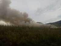В Хакасии огонь уничтожил свиноводческую ферму
